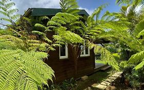Bungalow A Flanc De Colline